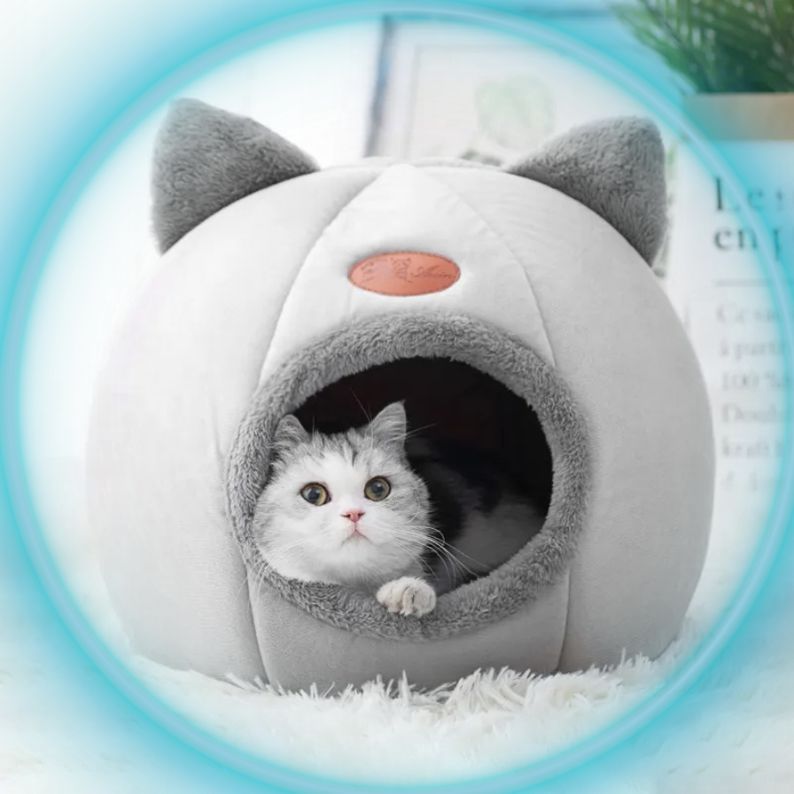 Feeding & Living Essentials